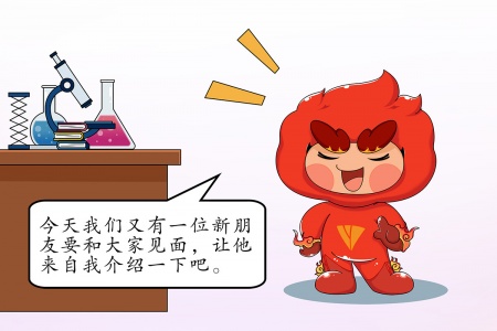 Company Introduction